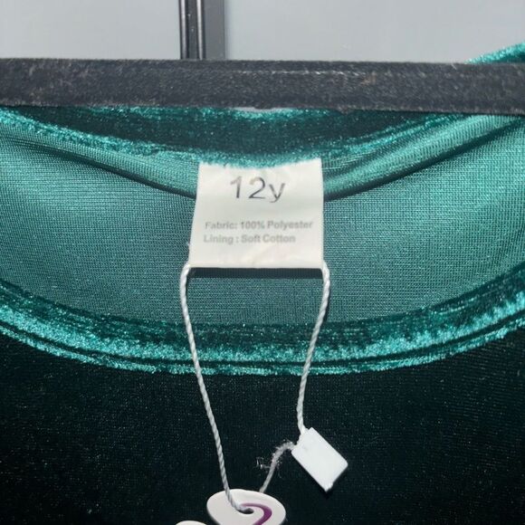Child’s green velvety dress with tulle skirt and ruffles NWT - Picture 4 of 6